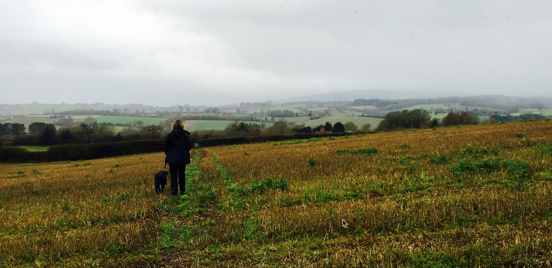 Walking a dog in a field